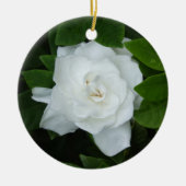 Gardenia Ornament (Vorne)