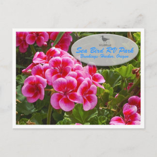 Gardenia Postcard Postkarte