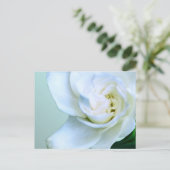 Gardenia Postkarte (Stehend Vorderseite)