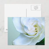 Gardenia Postkarte (Vorne/Hinten)
