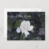 Gardenia Save the Date Postkarte (Vorne/Hinten)