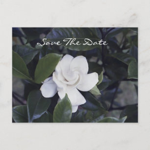 Gardenia Save the Date Postkarte
