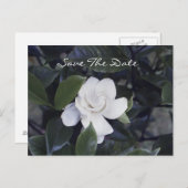 Gardenia Save the Date Postkarte (Vorne/Hinten)