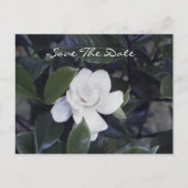 Gardenia Save the Date Postkarte (Vorderseite)