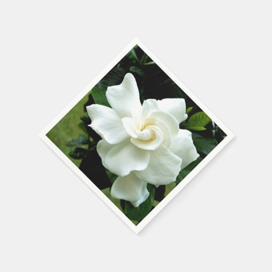 Gardenia Serviette (Ecke)