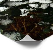 Gardenia & Snow, Poster (Ecke)