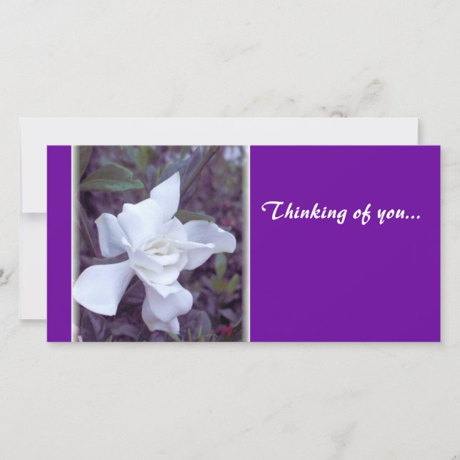 Gardenia tint Denken Sie an Sie... (Vorderseite)
