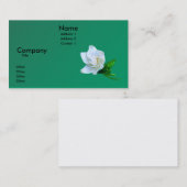 Gardenia Visitenkarte (Vorne/Hinten)
