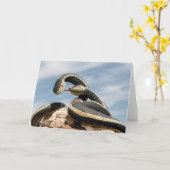 GARDER SNAKE KARTE (Gelbe Blume)