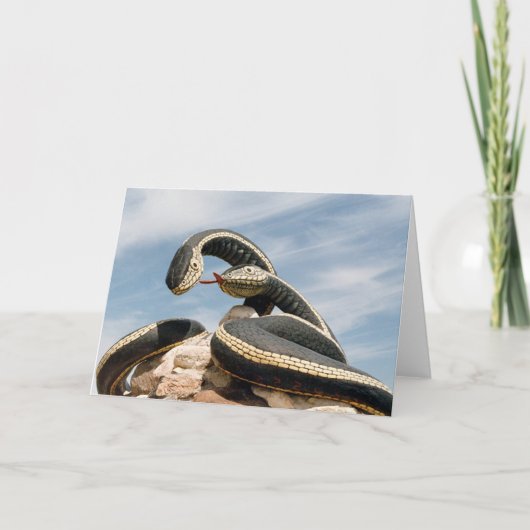 GARDER SNAKE KARTE (Vorderseite)