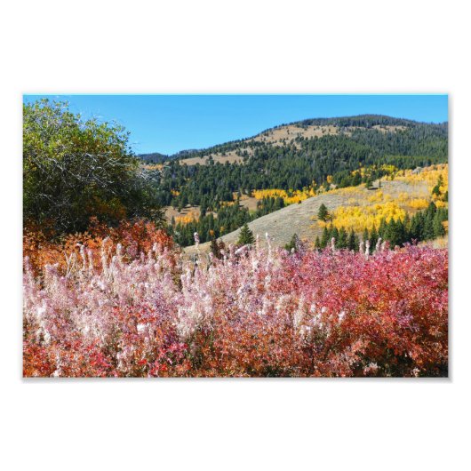 Gardiner Mountain Paint Fotodruck (Vorne)