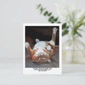 Garfelda, Garfelda, Original Art von AM Torrezww.. Postkarte (Stehend Vorderseite)