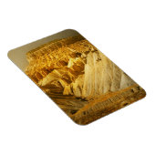 Garfield Magnet (Rechte Seite)