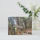 Garfield Ridge Campingplatz "White Mountains" Post Postkarte (Stehend Vorderseite)