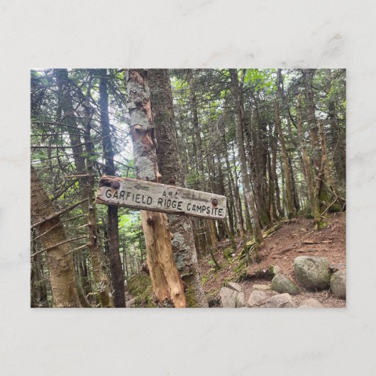 Garfield Ridge Campingplatz "White Mountains" Post Postkarte (Vorderseite)