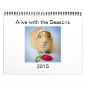 Garfunkel, das Meerschweinchen, 2015 Wandkalender (Titelbild)