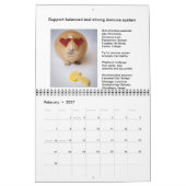 Garfunkel, das Meerschweinchen, Kalender (Feb 2027)