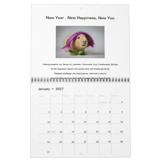 Garfunkel, das Meerschweinchen, Kalender (Jan 2027)