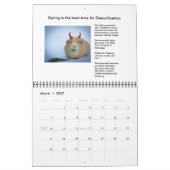 Garfunkel, das Meerschweinchen, Kalender (Mär 2027)