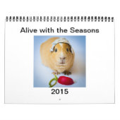 Garfunkel, das Meerschweinchen, Kalender (Titelbild)
