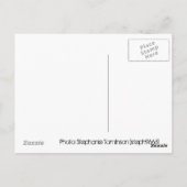 Gargoyle - ESP Postkarte (Rückseite)