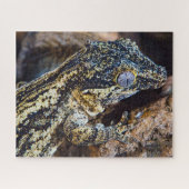 Gargoyle Gecko Pet Lizard Puzzle (Horizontal)