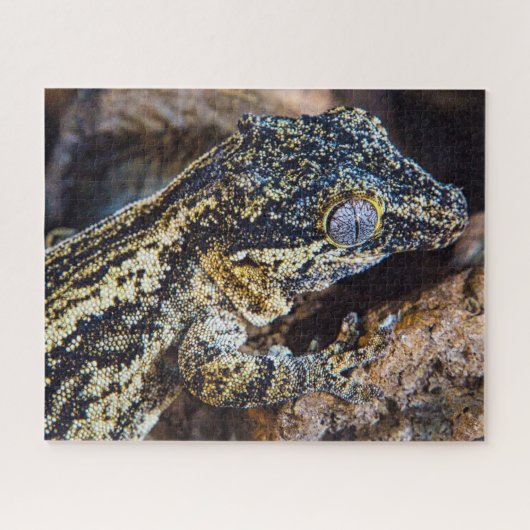Gargoyle Gecko Pet Lizard Puzzle (Horizontal)