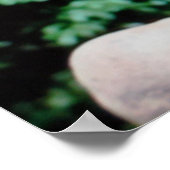 Gargoyle in Garden Poster (Ecke)