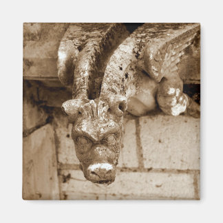 Gargoyle Magnet