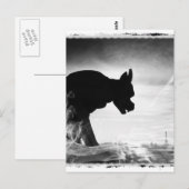 GARGOYLE NOTRE DAME PARIS FRANKREICH POSTKARTE (Vorne/Hinten)