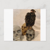 Gargoyle Postkarte (Vorderseite)