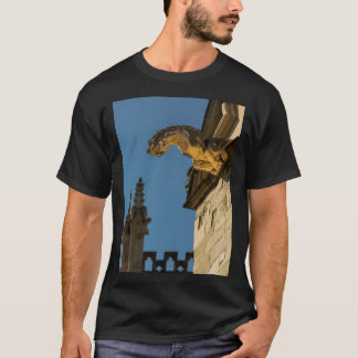 Gargoyles über den York Minister Long T-Shirt