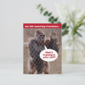 Garilla Gefangenensperre während des Aufenthalts Postkarte (Stehend Vorderseite)