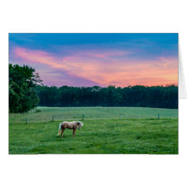 Garmin mit Sonnenuntergang