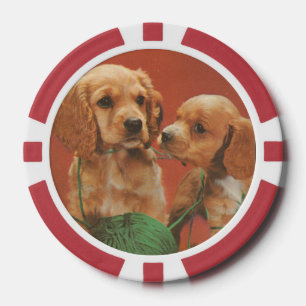 Garne und Zuneigung, Cocker-Spaniels bei Spielen Pokerchips