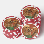 Garne und Zuneigung, Cocker-Spaniels bei Spielen Pokerchips (Stapel)