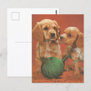 Garne und Zuneigung, Cocker-Spaniels bei Spielen Postkarte