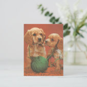 Garne und Zuneigung, Cocker-Spaniels bei Spielen Postkarte (Stehend Vorderseite)