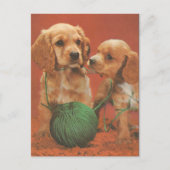 Garne und Zuneigung, Cocker-Spaniels bei Spielen Postkarte (Vorderseite)