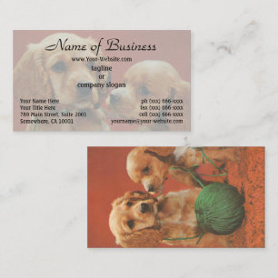 Garne und Zuneigung, Cocker-Spaniels bei Spielen Visitenkarte