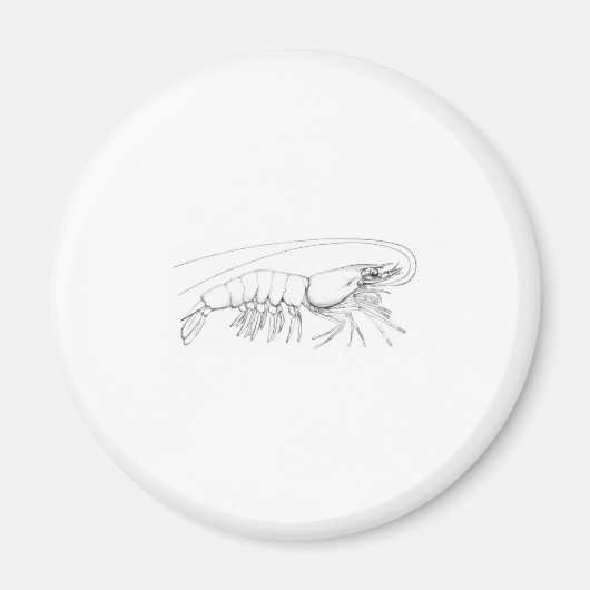 Garnele Magnet (Vorne)