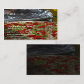 Garnele-Paella Pan Visitenkarte (Vorne/Hinten)