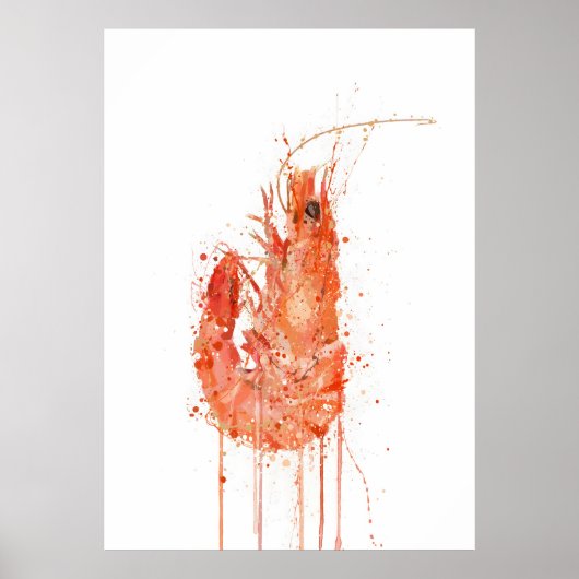 Garnele Poster (Vorne)