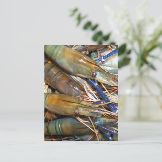 Garnele Postkarte (Stehend Vorderseite)