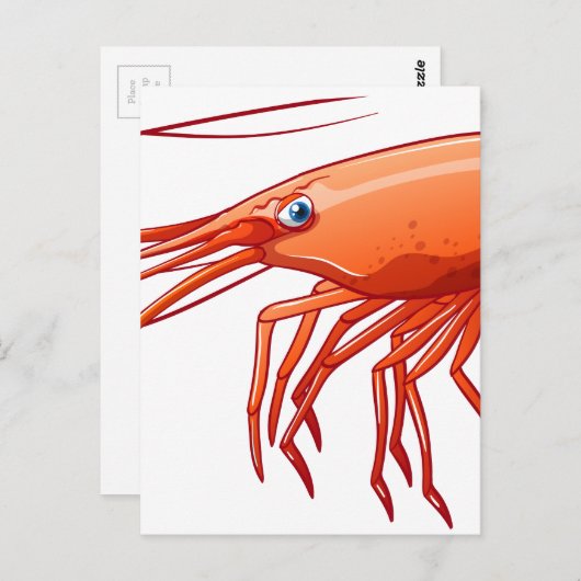 Garnele Postkarte (Vorne/Hinten)