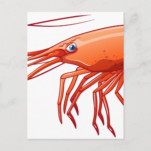 Garnele Postkarte (Vorderseite)