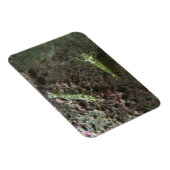 Garnelen 3"x4"-Magnet Magnet (Rechte Seite)