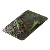 Garnelen 3"x4"-Magnet Magnet (Linke Seite)