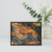 Garnelen auf der Rezept-Karte Postkarte (Stehend Vorderseite)