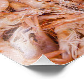 Garnelen Fotodruck (Ecke)
